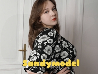 Sandymodel