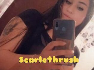 Scarlethrush
