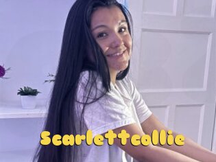 Scarlettcollie