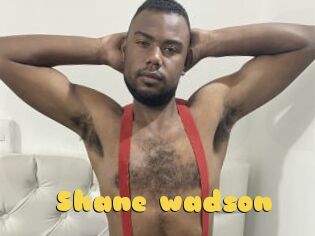 Shane_wadson