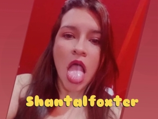 Shantalfoxter