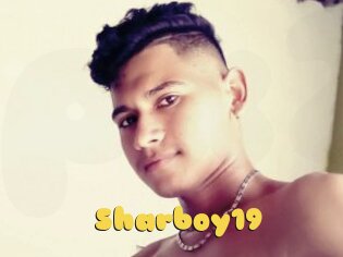 Sharboy19