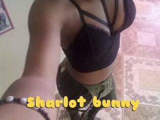 Sharlot_bunny