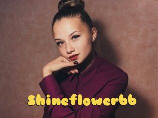 Shineflowerbb