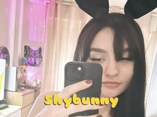 Shybunny