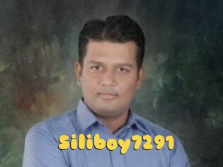 Siliboy7291