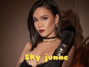 Sky_junne