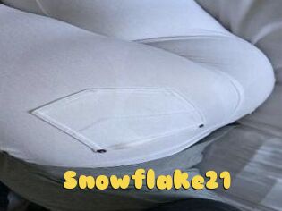 Snowflake21