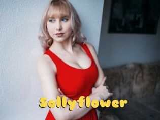 Sollyflower