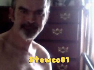 Stewco01