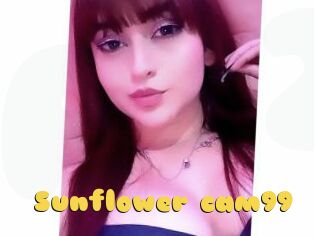 Sunflower_cam99