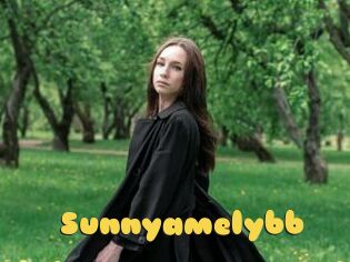 Sunnyamelybb