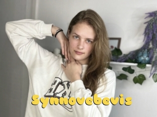 Synnovebevis