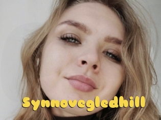 Synnovegledhill