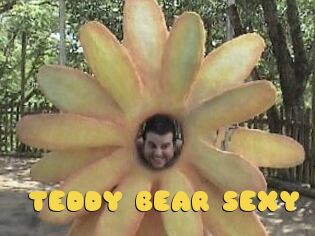 TEDDY_BEAR_SEXY