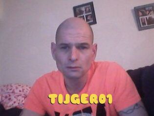 TIJGER01