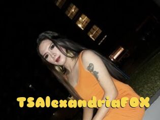 TSAlexandriaFOX
