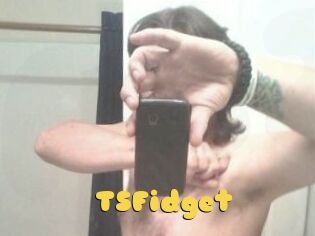 TSFidget