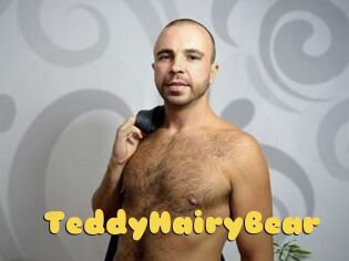 TeddyHairyBear