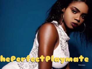ThePerfectPlaymate