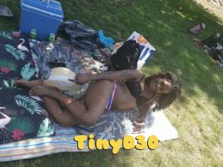 TinyD30