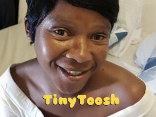 TinyToosh