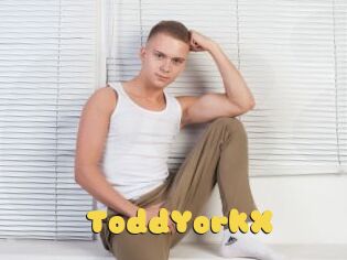 ToddYorkX