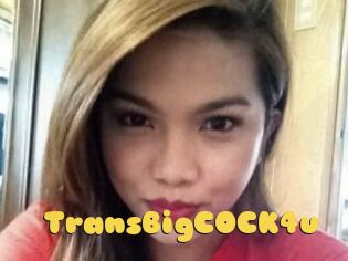 TransBigCOCK4u