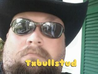 Txbullstud