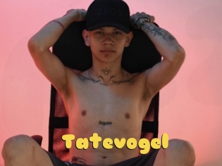 Tatevogel
