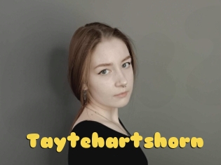 Taytehartshorn