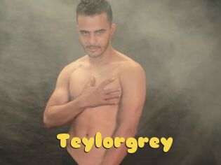 Teylorgrey