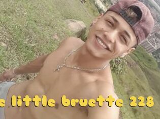 The_little_bruette_228