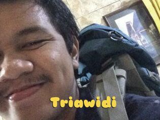 Triawidi