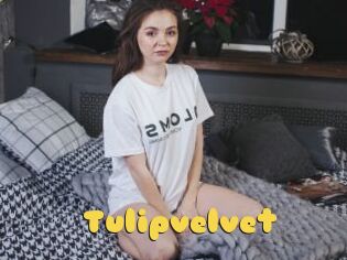 Tulipvelvet