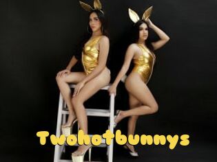 Twohotbunnys