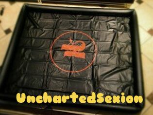 UnchartedSexion