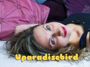 Uparadisebird