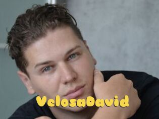 VelosaDavid