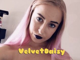 VelvetDaisy