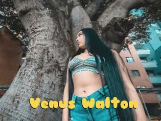 Venus_Walton