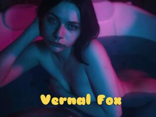 Vernal_Fox