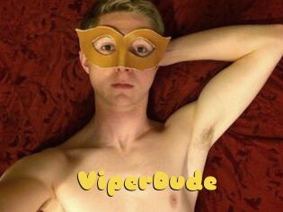 ViperDude