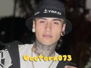 Vectorx073