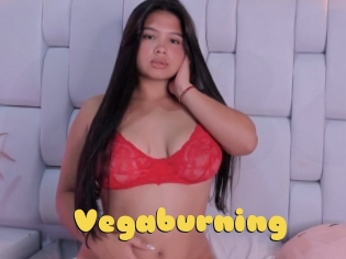 Vegaburning