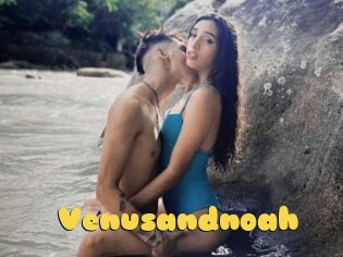 Venusandnoah