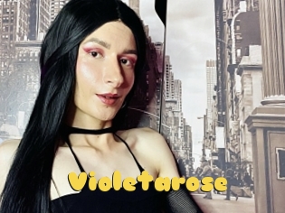 Violetarose