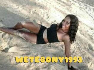 WETEBONY1993