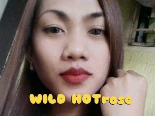 WILD_HOTrose