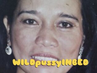 WILDpussyINBED